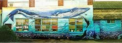 view blue whale mural.